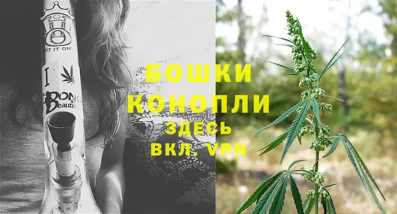 Шишки марихуана Bruce Banner  Пучеж 